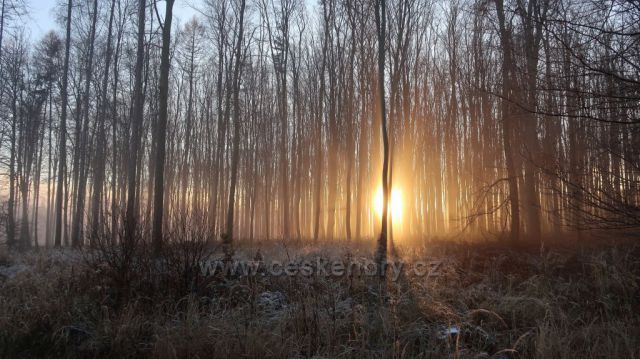 Odpolední procházka Valšovická jezírka