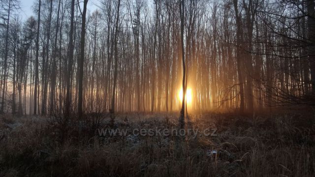 Odpolední procházka Valšovická jezírka