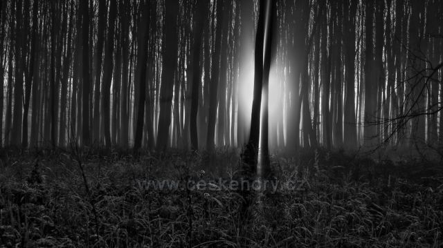 Odpolední procházka Valšovická jezírka