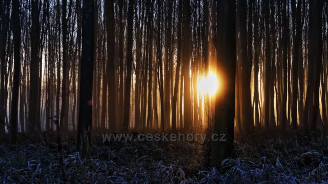 Odpolední procházka Valšovická jezírka