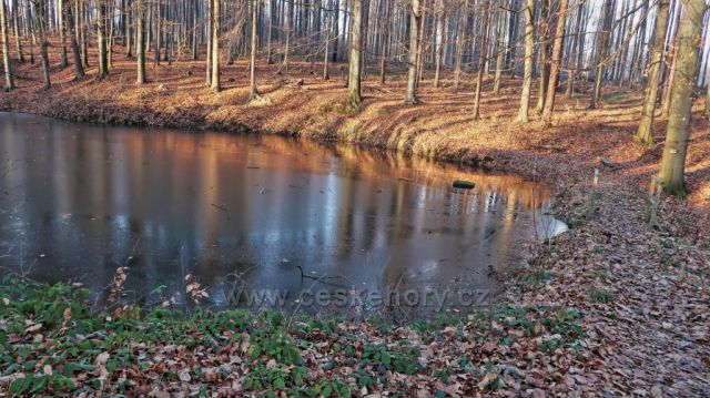 Odpolední procházka Valšovická jezírka
