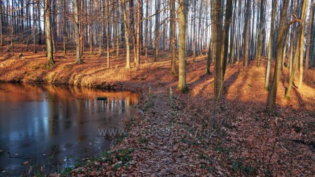 Odpolední procházka Valšovická jezírka