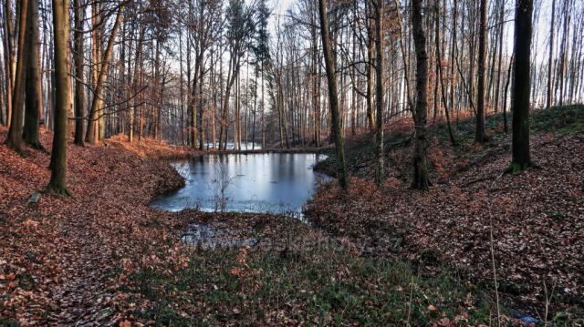 Odpolední procházka Valšovická jezírka