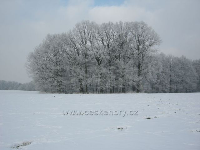pole pod sněhem