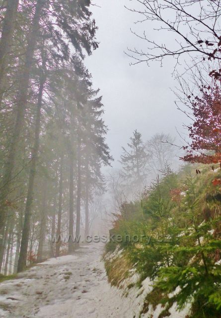 Jestřebí hory - mlha na cestě po žluté TZ od Šrajberky k Bílému kůlu