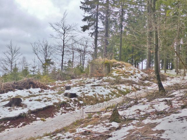 Jestřebí hory - další z bunkrů provázejících hřebenovku pod Žaltman