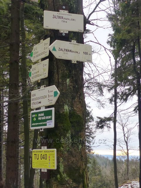 Jestřebí hory - turistický rozcestník na rozcestí pod rozhlednou napovídá ,že k bývalé rozhledně Žaltman je to ještě 100 metrů