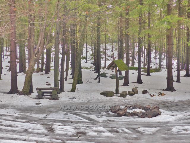 Jestřebí hory - odpočívadlo a informační tabulka o velké jedli na rozcestí pod rozhlednou Žaltman