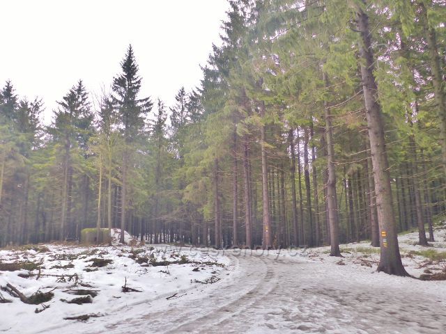 Jestřebí hory - řetězec bunkrů pokračuje až k Pasekám
