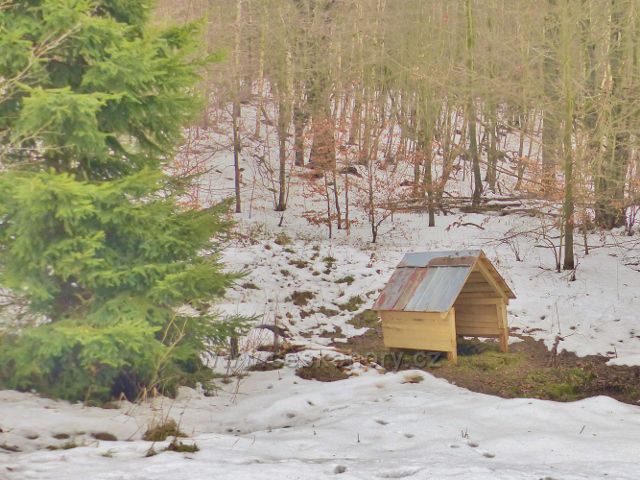 Jestřebí hory - studánka Pod Pasekou