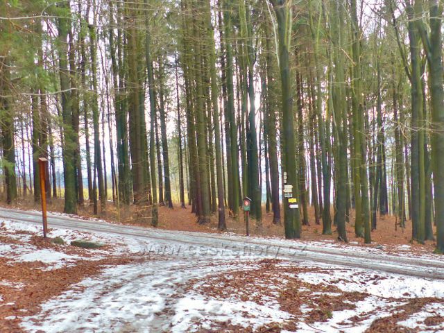 Malé Svatoňovice - rozcestí Na Horách