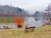 Letovice - Letovický rybník