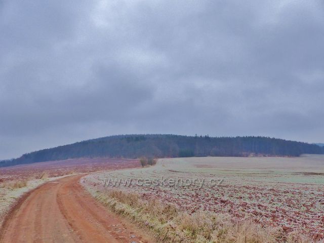 Kochov - cesta po červené TZ k pahorkatině Ve Vrších (590 m.n.m.)