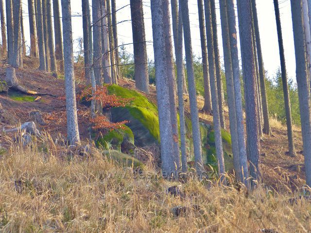 Kochov - nad cestou po červené TZ se v lokalitě Na vrších vyskytuje několik menších skalních útvarů