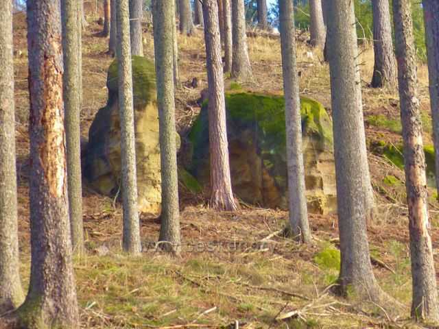 Kochov - nad cestou po červené TZ se v lokalitě Na Vrších vyskytuje několik menších skalních útvarů
