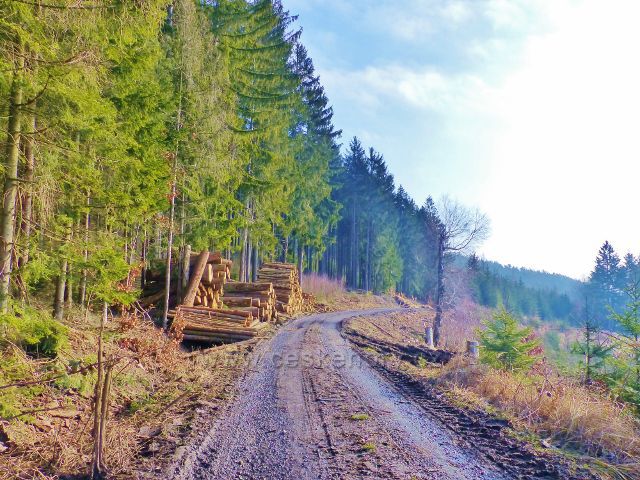 Velká Rudka - trasa po červené TZ vyúsťuje na lesní silničku, která se již nachází v katastru obce Velká Rudka