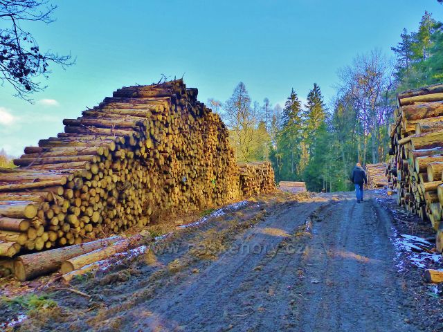 Velká Rudka - skládky dřeva pod vrchem Čertovec
