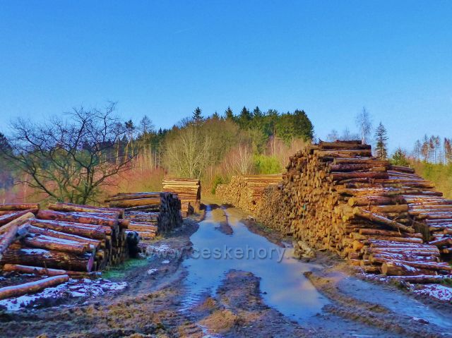 Velká Rudka - skládky dřeva pod vrchem Čertovec