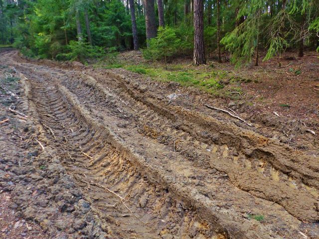 Velká Rudka - zpracování kůrovcové kalamity pomocí těžké mechanizace zanechává stopy i na stavu lesních cest