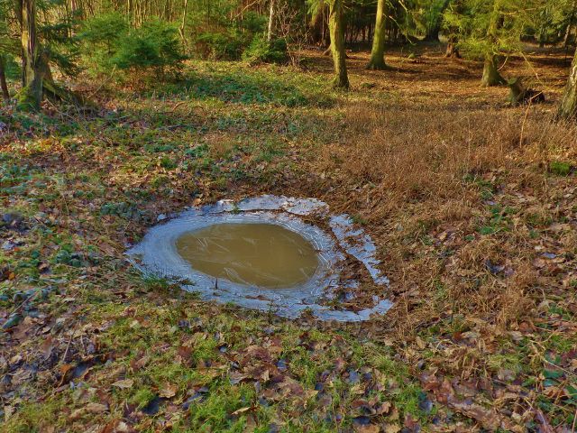 Velká Rudka - zamrzlé "jezírko" pod Čertovcem u cesty po červené TZ do Rudky