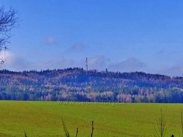 Velká Rudka - pohled z cesty okrajem lesa po červené TZ k telekomunikační věži stojící na protilehlém vrchu Ve Vrších (590 m.n.m.)