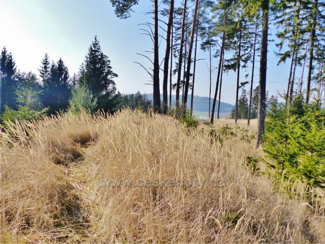 Velké Opatovice - Opatovické hradisko, 514 m.n.m.