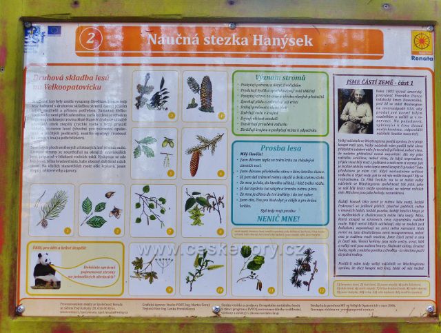 Velké Opatovice - informační panel 2. zastavení NS Hanýsek pojednává o skladbě lesů Velkoopatovicka