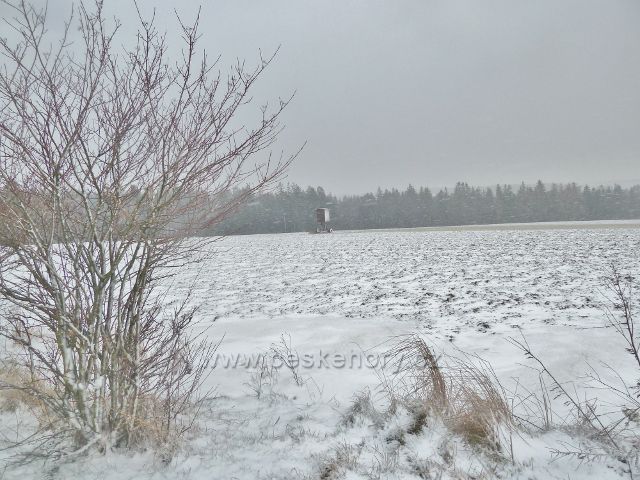 Kunvald -sněží,  pohled ze silničky na Končiny k posedu u lesa