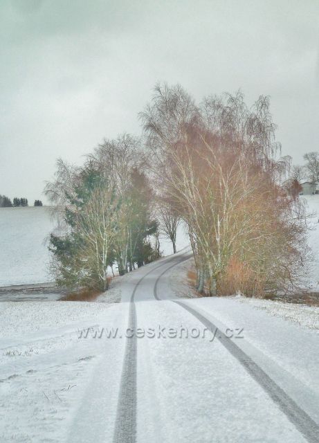 Kunvald - břízy u silničky na Končiny