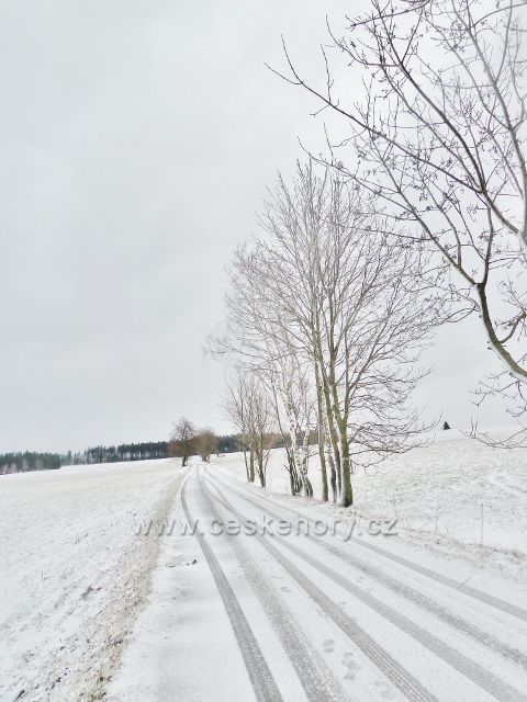 Kunvald - silnička na Končinách