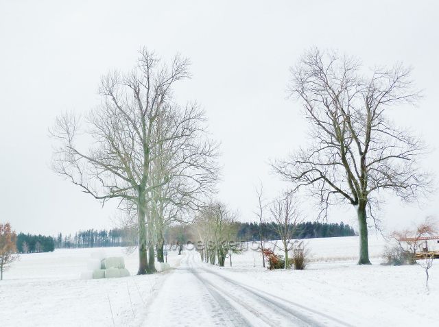Kunvald - silnice z Končin do Zaječin