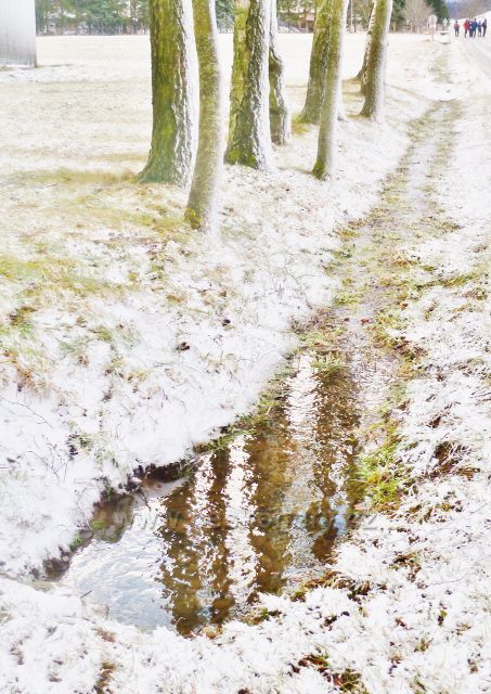 Kunvald - Končiny, odraz