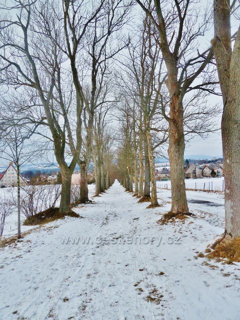 Králíky - pohled do "dolní" části klášterní aleje