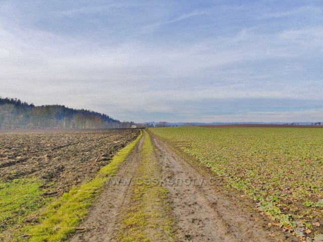 Jabloňany - zelená TZ vede po rovné polní cestě až k úpravně vody před obcí Krhov