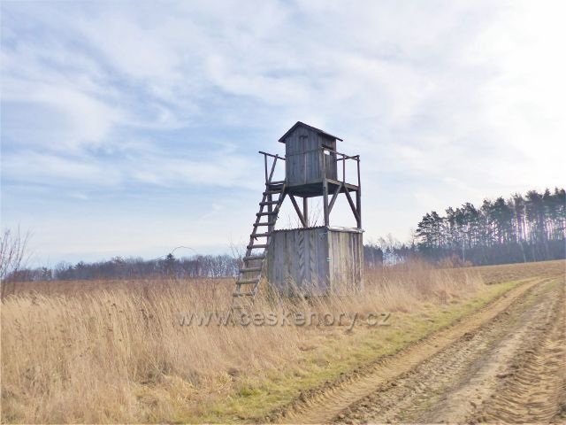 Krhov - ... a stáčí se s mírným stoupáním kolem posedu k Malému Chlumu