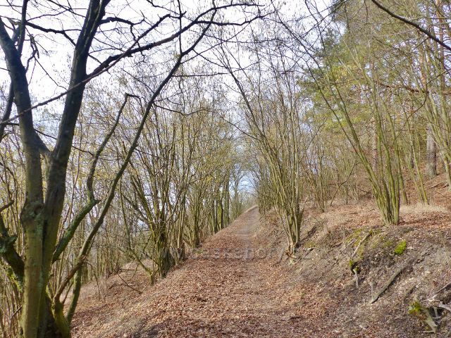 Krhov - cesta po zelené TZ po úbočí Malého Chlumu k rozhledně