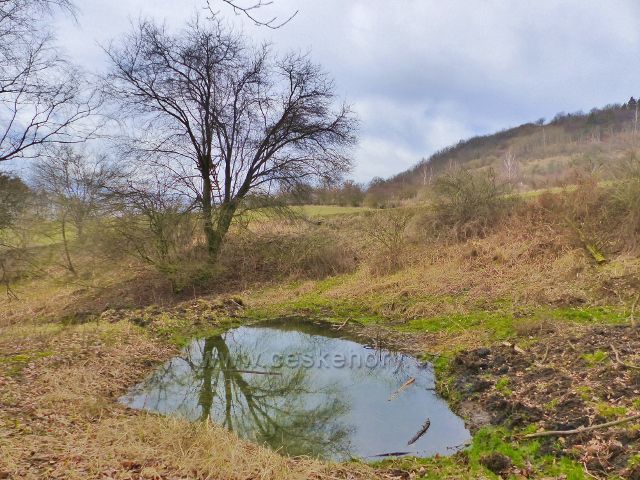 Bořitov - Jezírko na úpatí Opálky