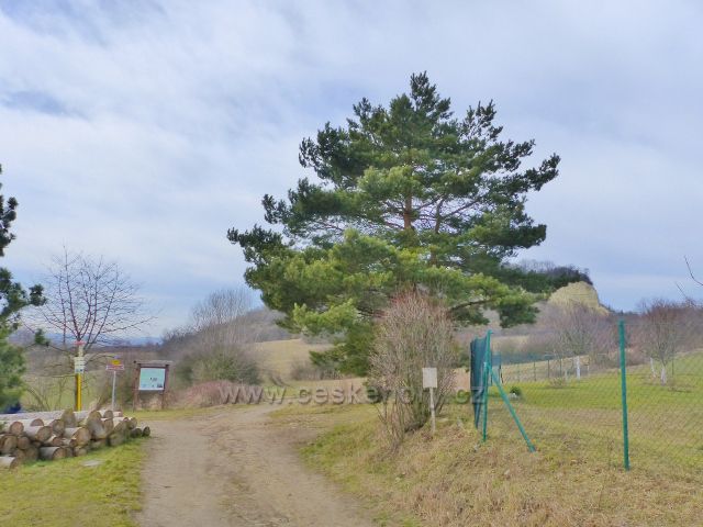 Bořitov - rozcestí Pod Malým Chlumem, odkud vede trasa po červené TZ přes Oboru do Doubravice nad Svitavou
