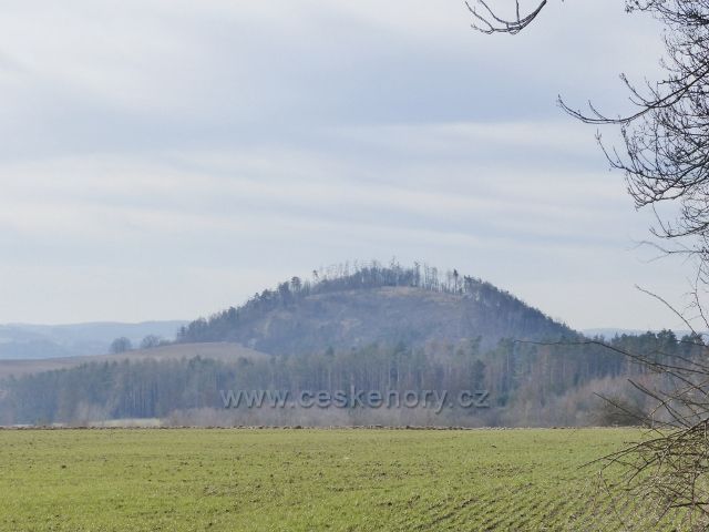 Obora - pohled na Velký Chlum (464 m.n.m.) ze silnice k Doubravici nad Svitavou