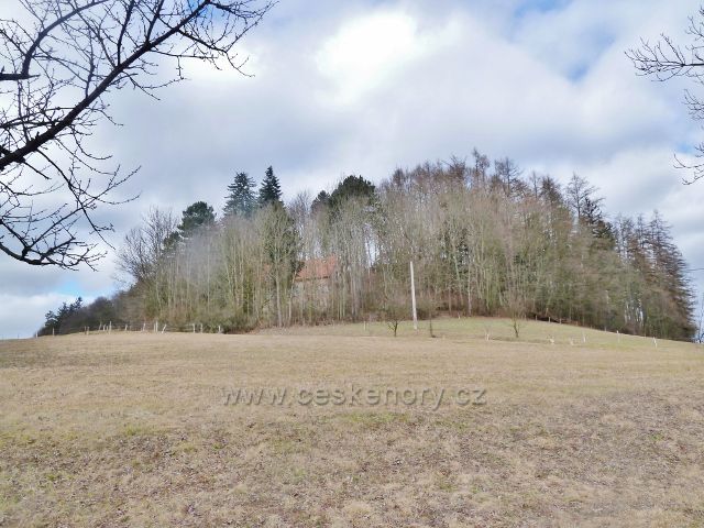 Kunvald - pod vrcholem Krejsova kopce se na jižní svahu skrývá vila prof.Fr.Bílka, v jejímž areálu bývalo významné arboretum cizokrajných dřevin, založené samotným prof.Bílkem