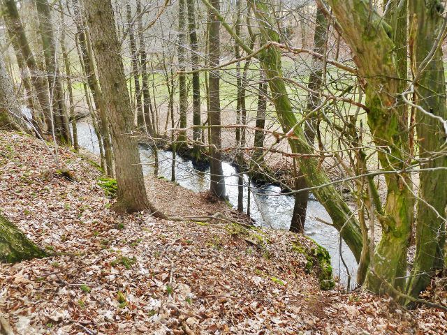 Kunvald - Rokytenka pod chovným rybníkem