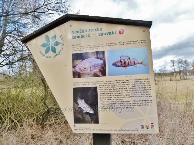 Kunvald - panel 7. zastavení NS Žamberk-Kunvald v údolí Rokytenky pojednává o říčce Rokytence