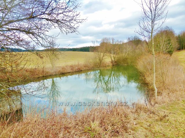 Žamberk -rybník v "Polsku"
