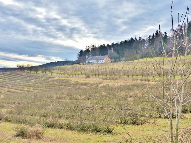 Doudleby na Orlicí - rybízovna nad Vyhnánovem