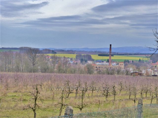 Doudleby na Orlicí -pohled na město ze silnice k Vrbici