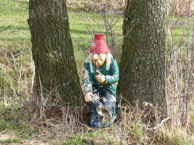 Vrbice - vodník v lesoparku Draha