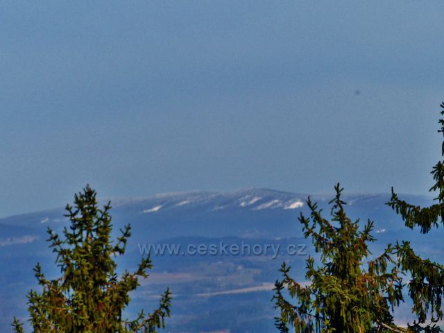 Vrbice - pohled z cesty Dr. Jarkovského na zasněžený  hřeben Orlických hor