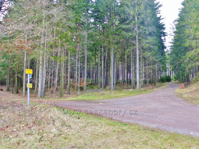 Potštejn - rozcestí nad osadou Nové Litice
