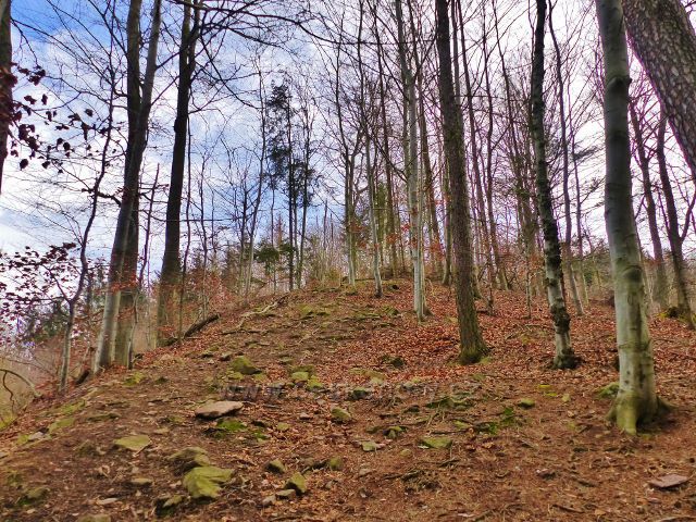 Potštejn - prudké stoupání po stezce NS Velešov ke zřícenině