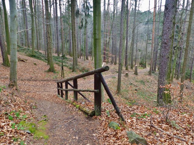 Potštejn - sestupová stezka ze zříceniny vede poněkud mírnějším svahem
